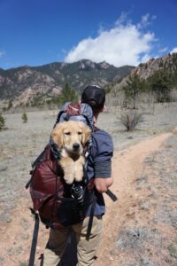 A man is hiking, facing the mountains in the distance, and we see a puppy in his backpack looking at the camera.