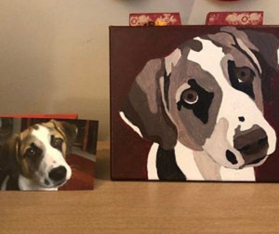 Colourful Dog - Diamond Art 30x40cm 45pcs - Paint My Numbers