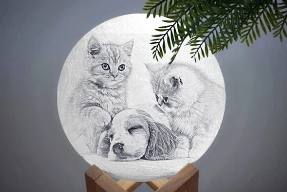 personalized pet photo in a moon lamp