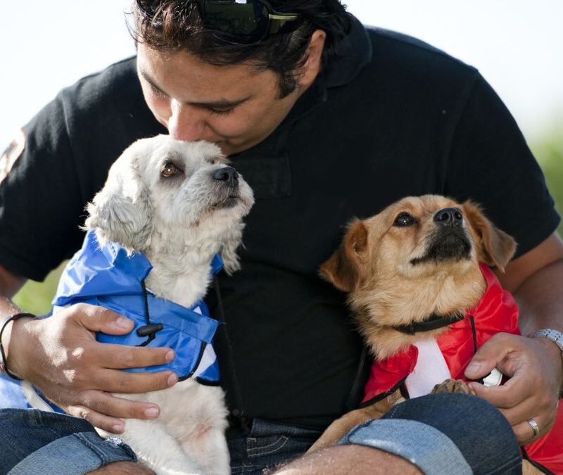 8 Reasons Why You Should Adopt a Shelter Dog