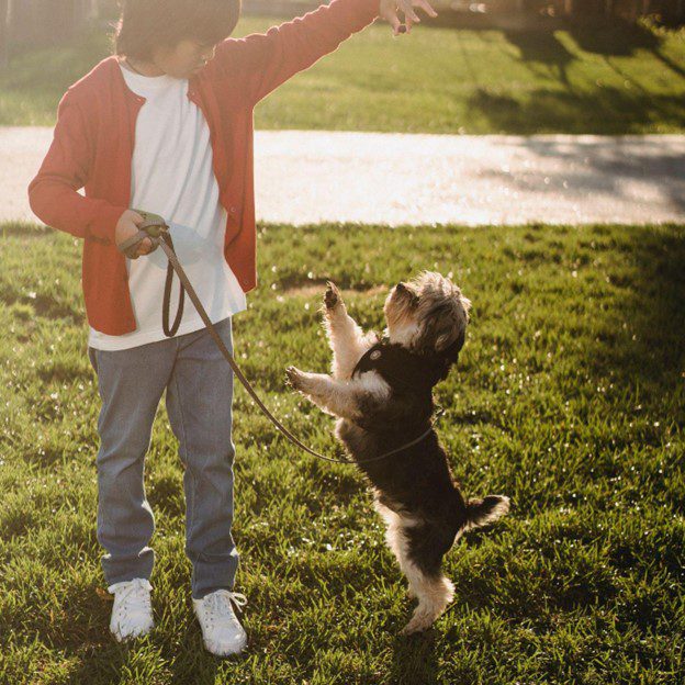 Helping Pets with the Back to School Blues