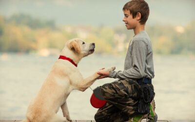 15 Reasons Why Shelter Dogs Are the Best