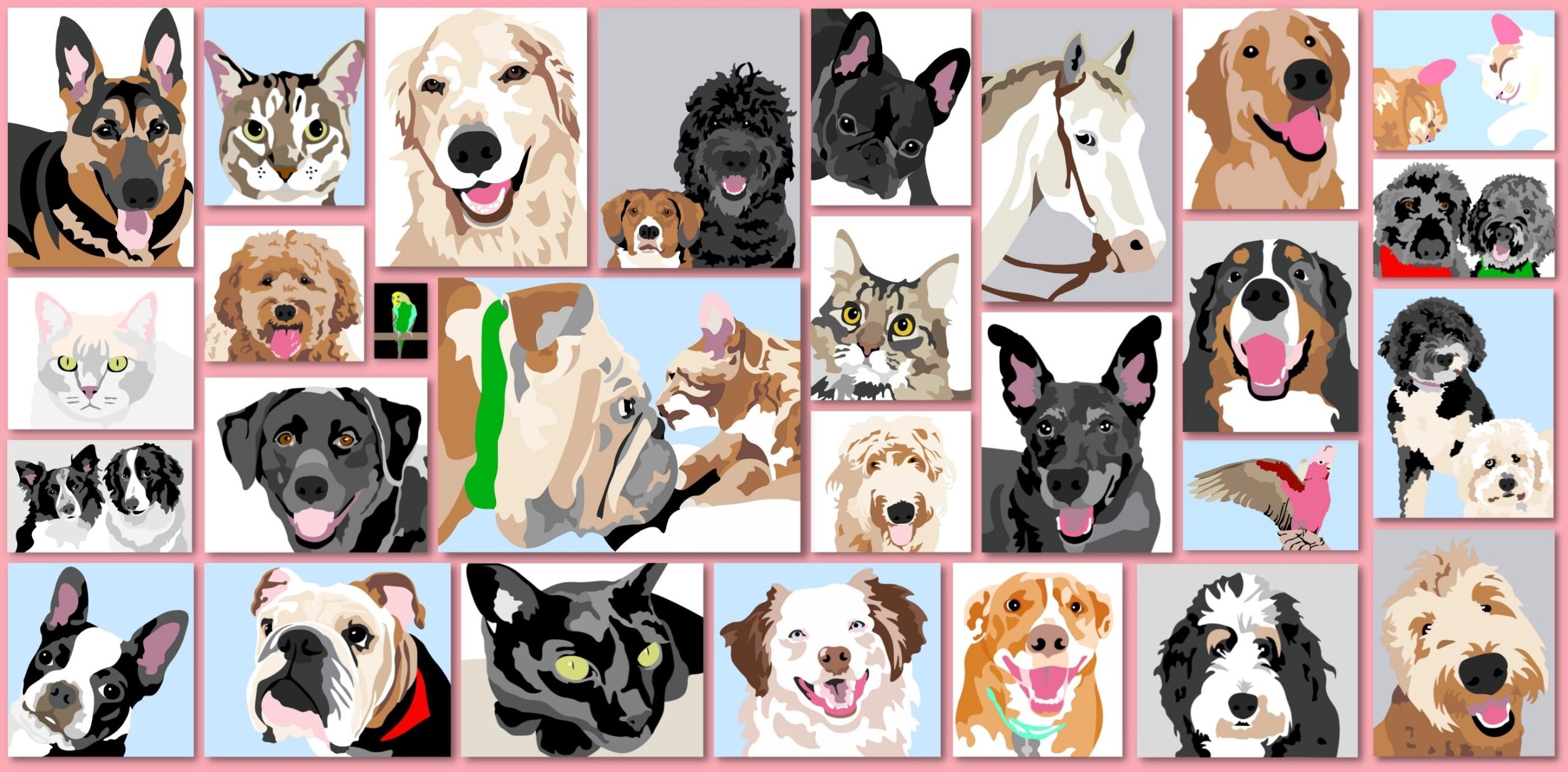 Order Custom Pet Paint-By-Number Kits