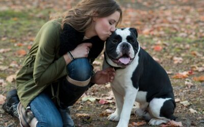 What to Gift a Dog Owner: Why Custom Gifts Matter