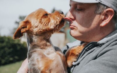 Top 8 Ways to Show Your Pet Love