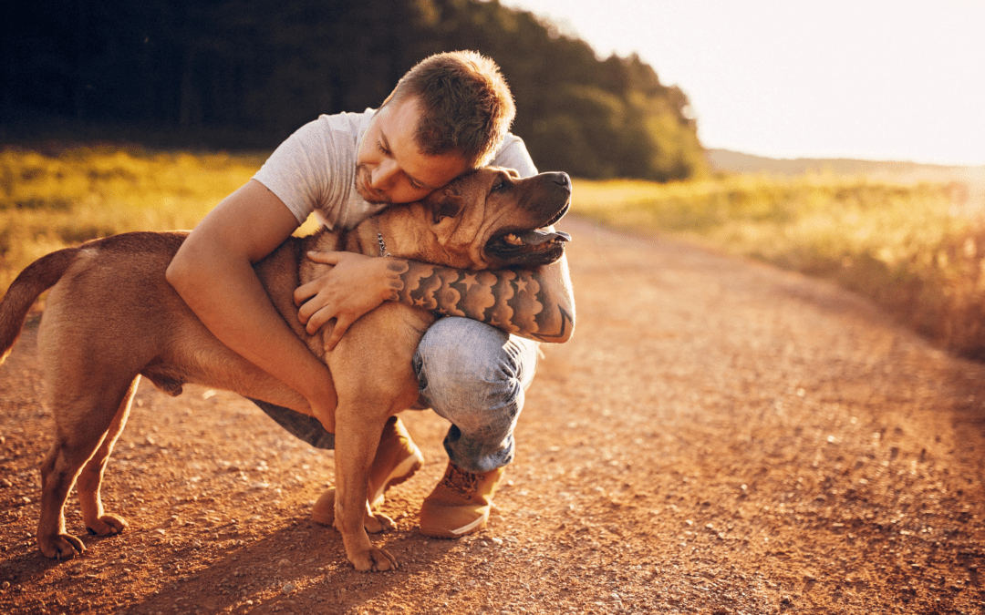 The Special Connection: Exploring the Bond between Dads and Their Dogs