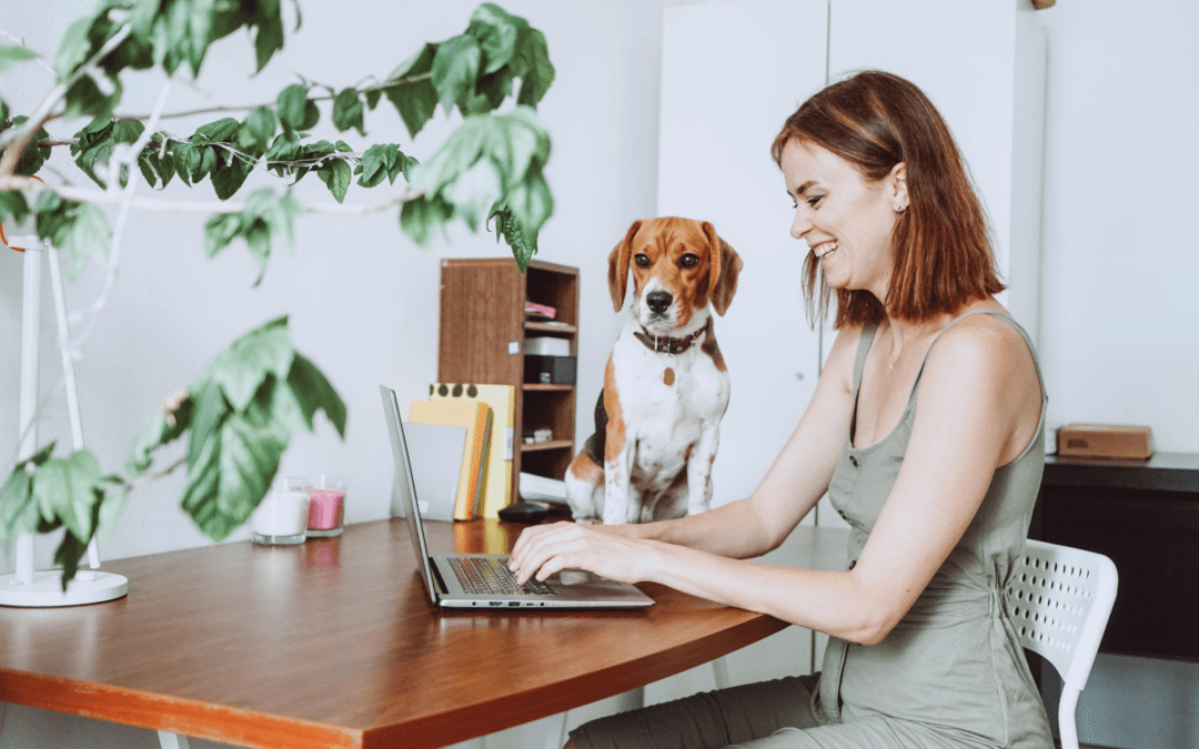 Pawsitive Impacts: Exploring the Benefits of Dogs in the Workplace for Employers and Employees